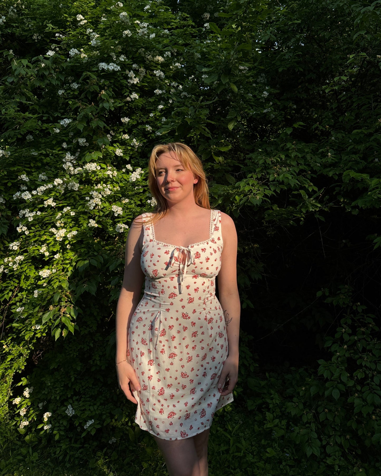 Vintage Rose Mini Dress