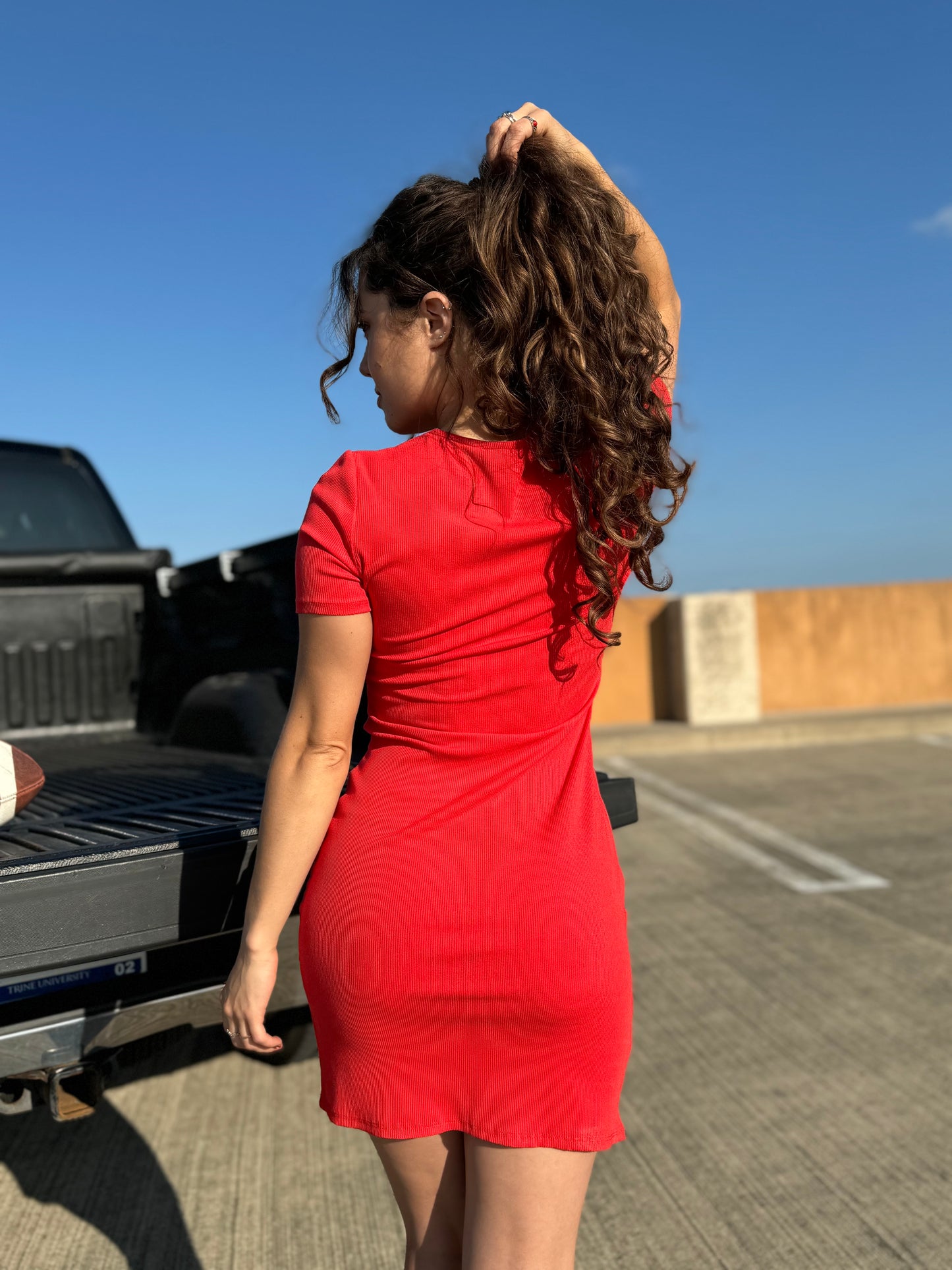 Scarlet Basic Mini Dress